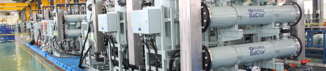 Ballast Water Treatment System